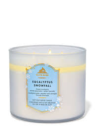 Eucalyptus snowfull  3 wicked candle