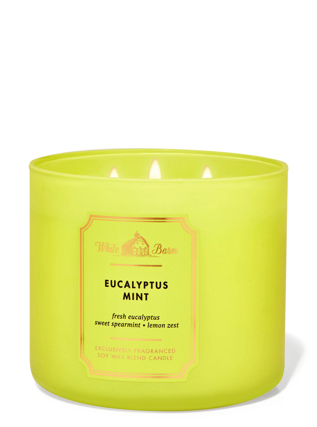 Eucalypus mint candle