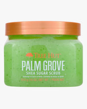 Load image into Gallery viewer, Tree hut palm Grove scrub 510g
